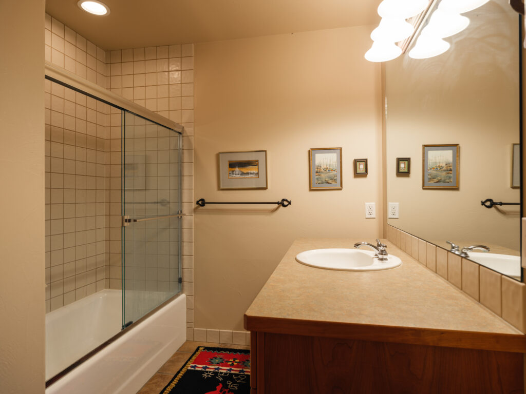 1055 Skywood Rd, lower level bathroom #2