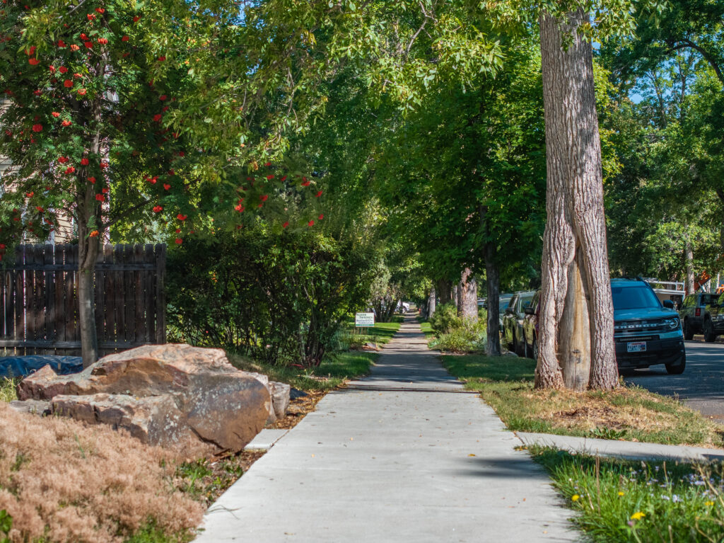 419 S 3rd Ave/301 W Story - Sidewalk and mature trees