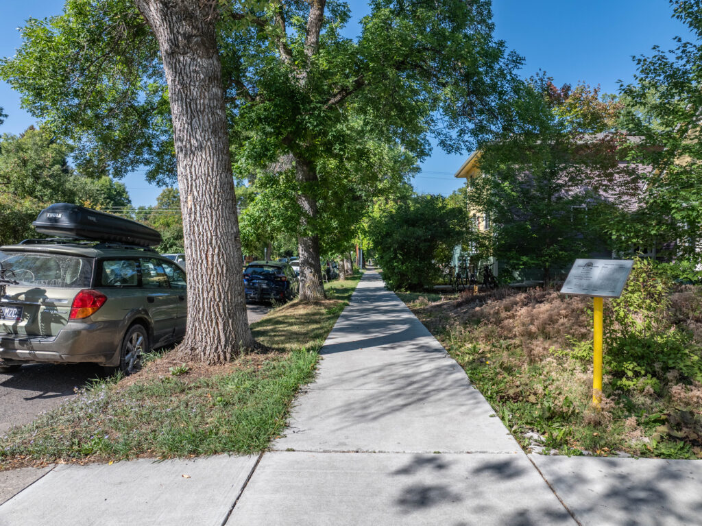 419 S 3rd Ave/301 W Story - sidewalk and mature trees
